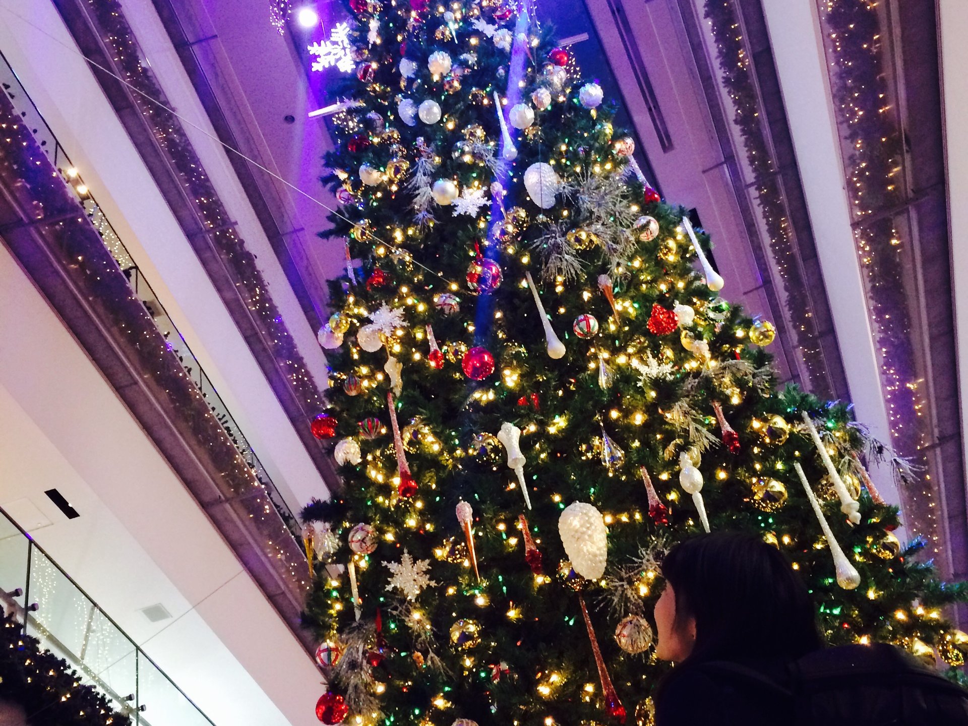 【2015年最新版】表参道ヒルズの巨大クリスマスツリー！
