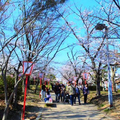 郡山城跡