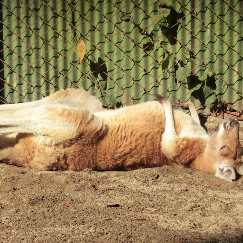 須坂市動物園