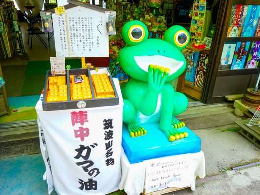 筑波山ケーブルカー宮脇駅