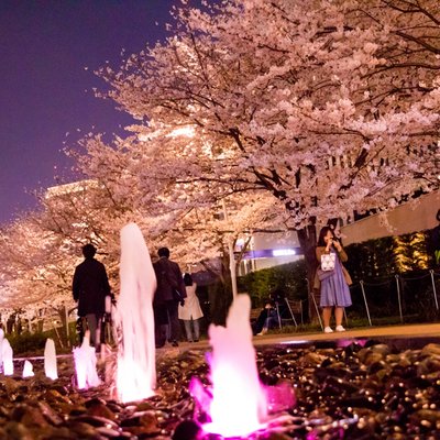 東京ミッドタウン