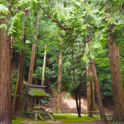 若狭姫神社