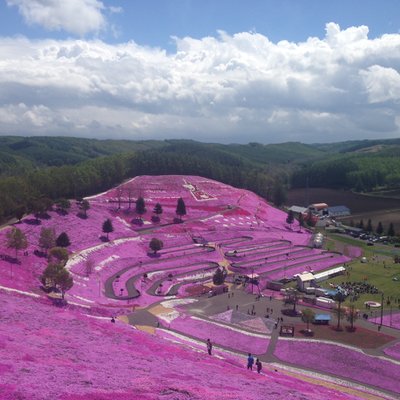 東藻琴芝桜公園キャンプ場