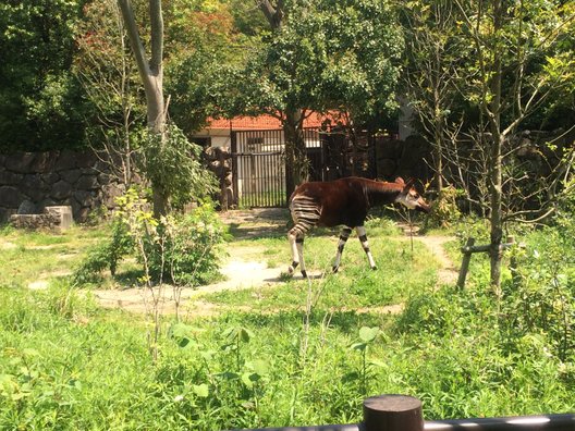 金沢動物園