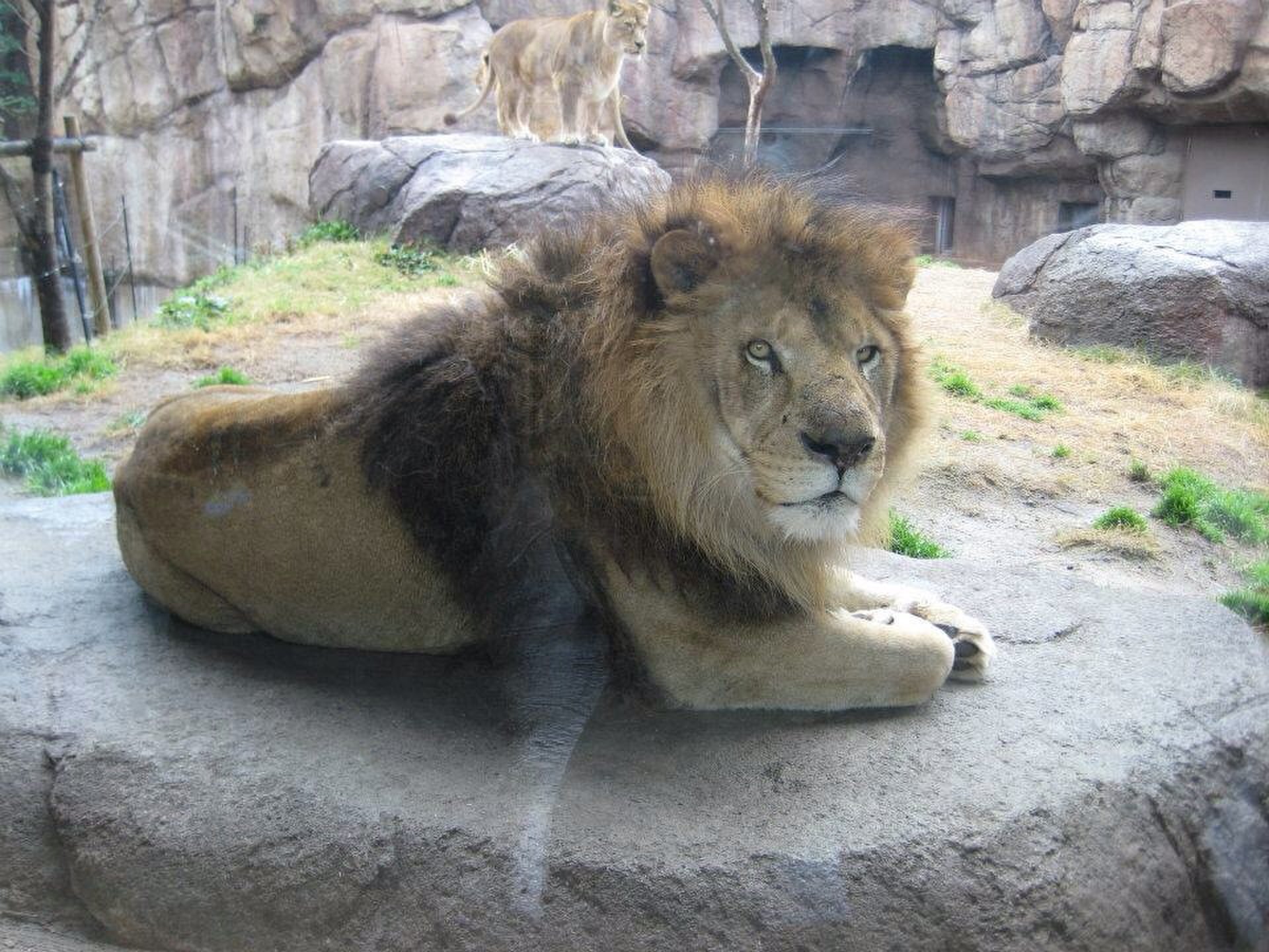 天王寺動物園