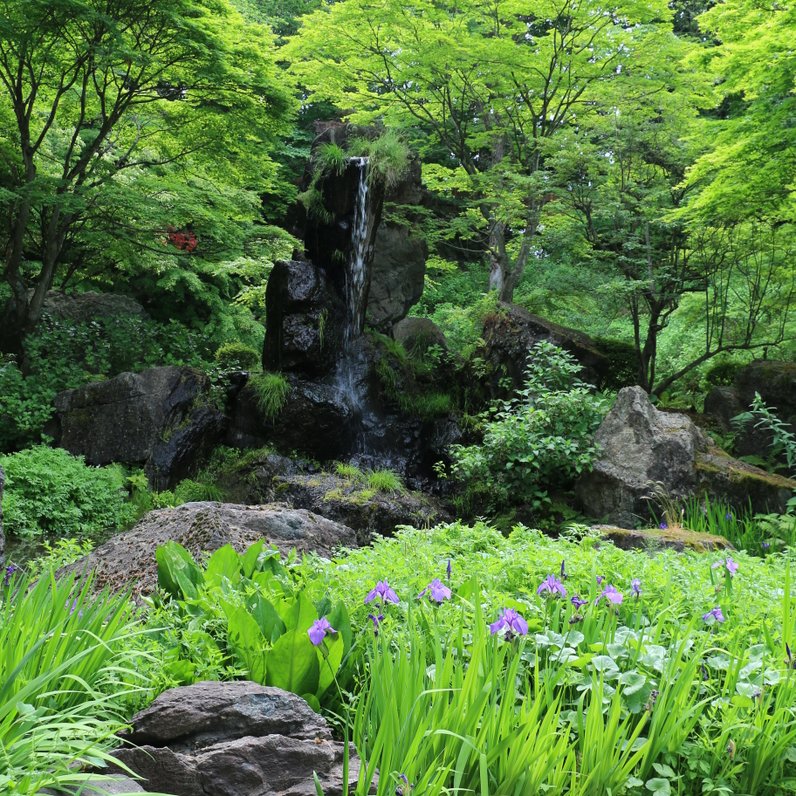 吉祥寺