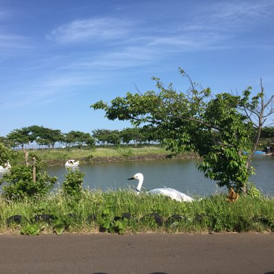 長井海の手公園ソレイユの丘