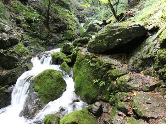 大岳山