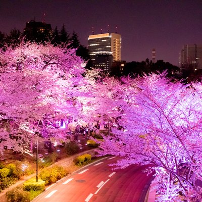 東京ミッドタウン