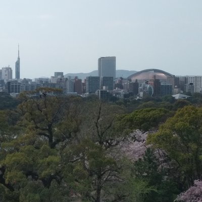 舞鶴公園