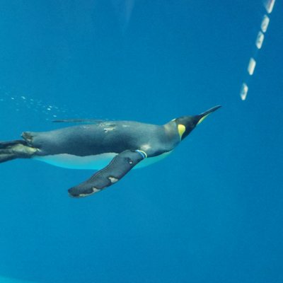 長崎ペンギン水族館