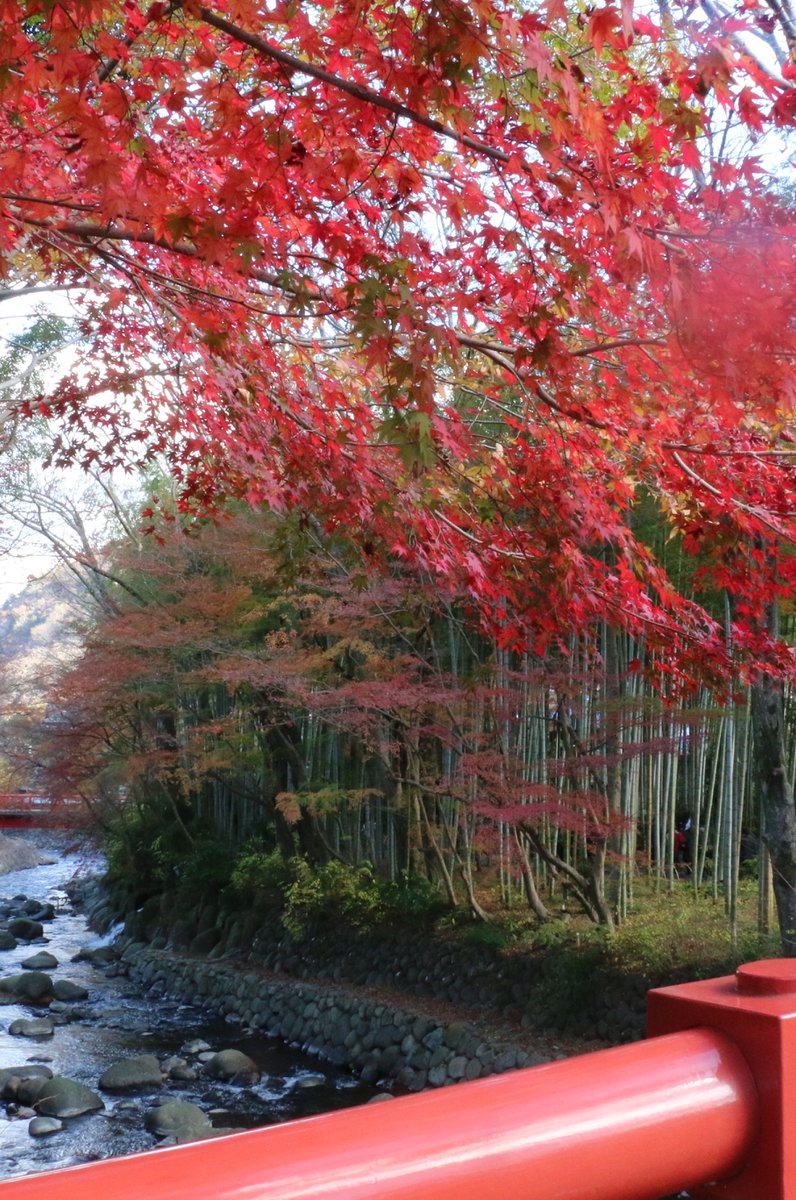 修善寺温泉 恋の橋めぐり