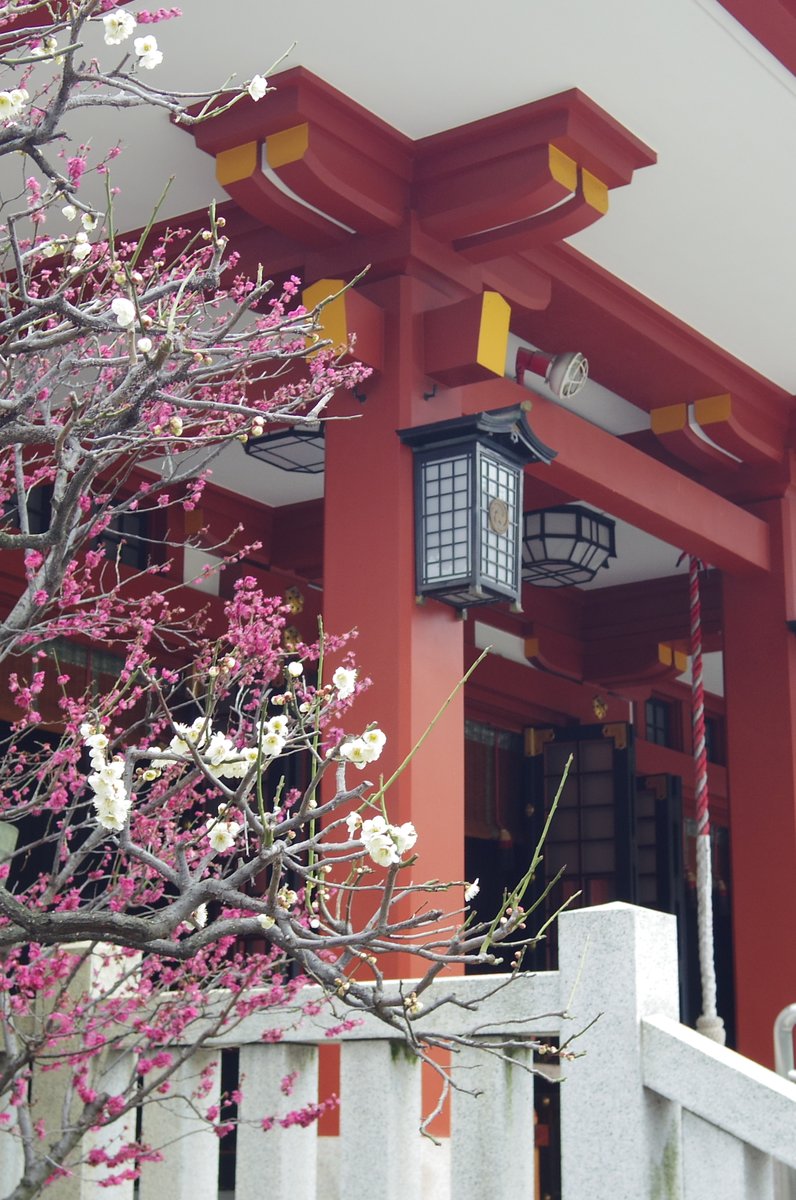 赤坂日枝神社