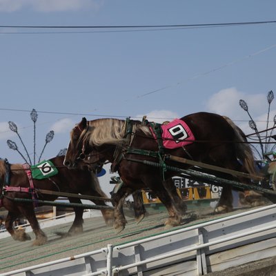 帯広競馬場