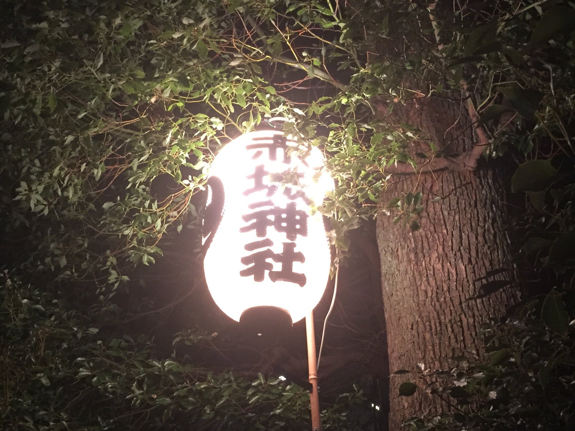 【神楽坂の夜景が見られる赤城神社】初詣に行かれていない方必見です☆