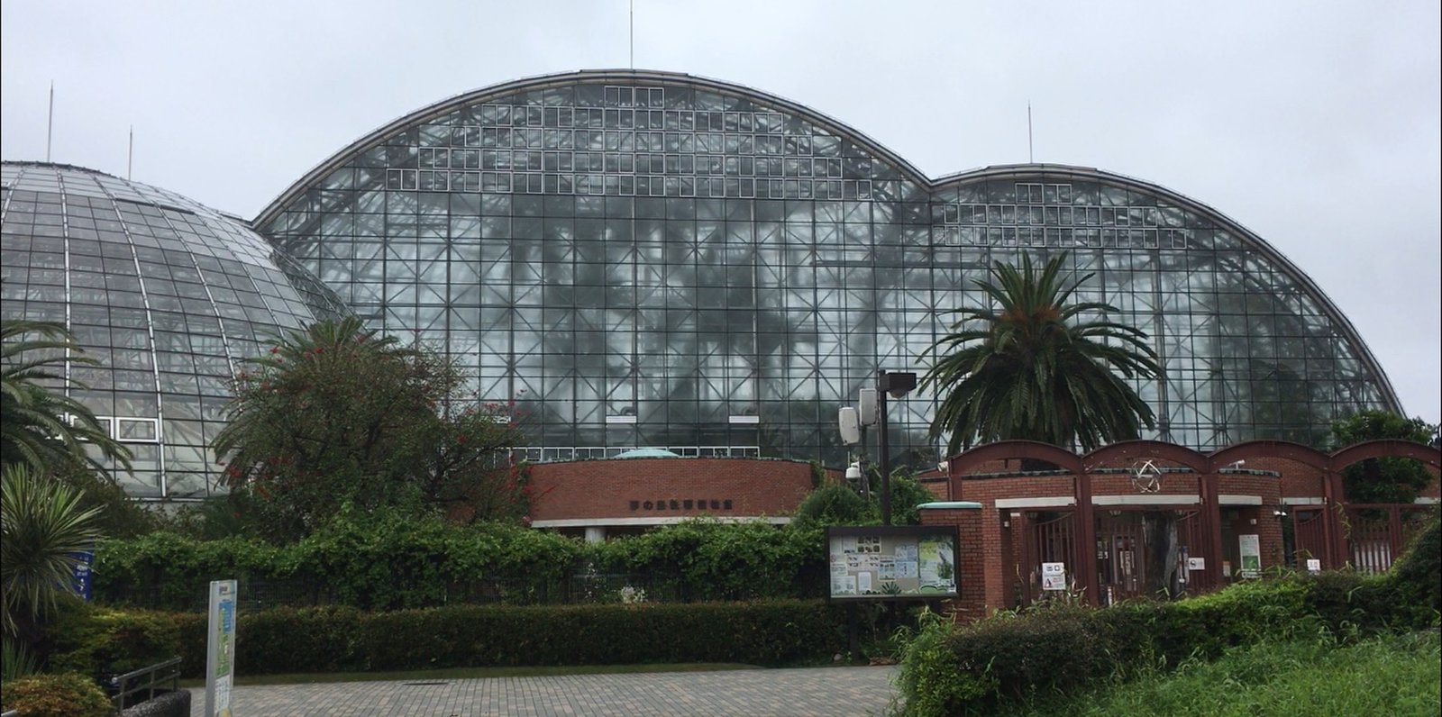 東京都夢の島熱帯植物館