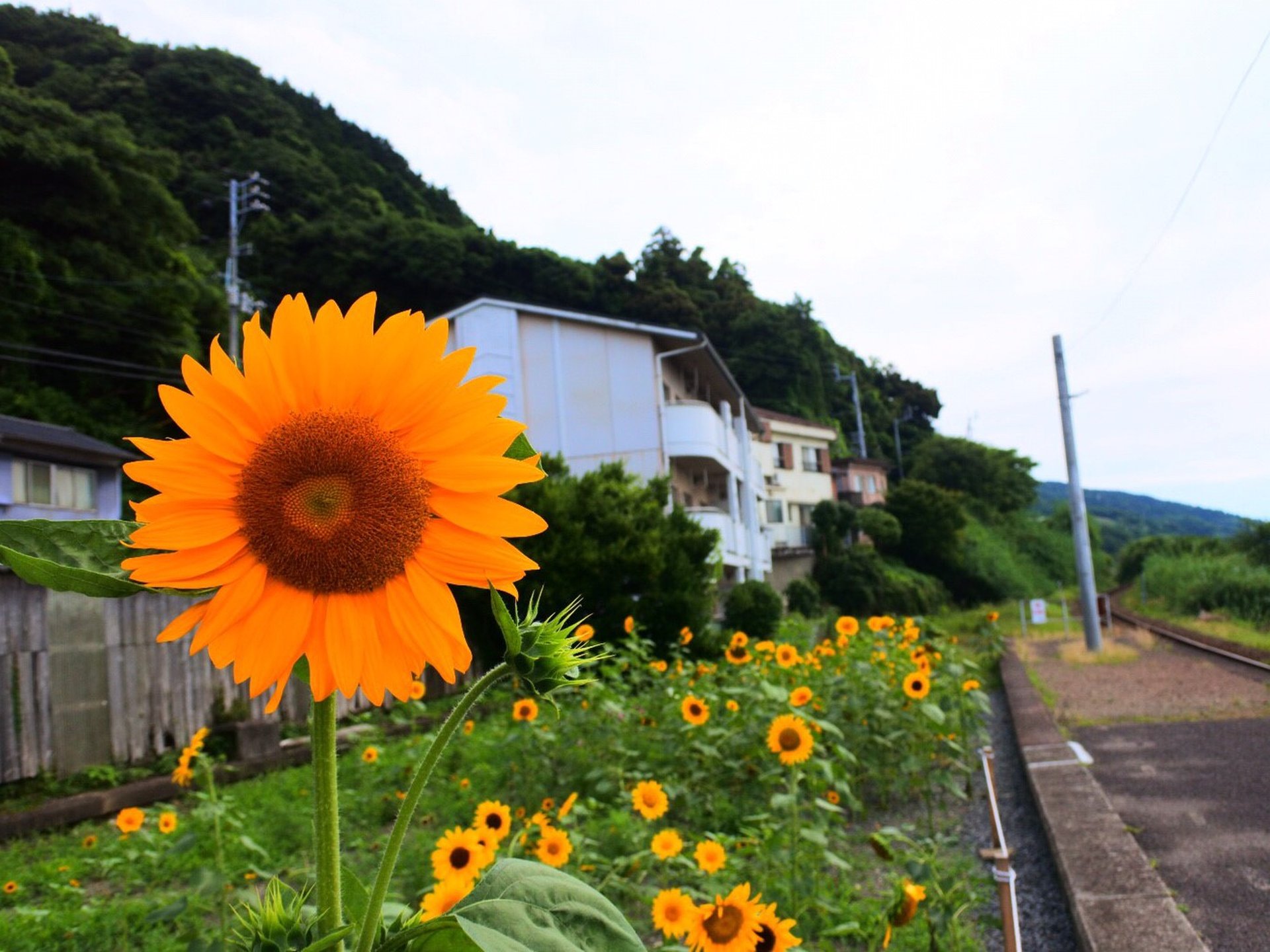 下灘駅