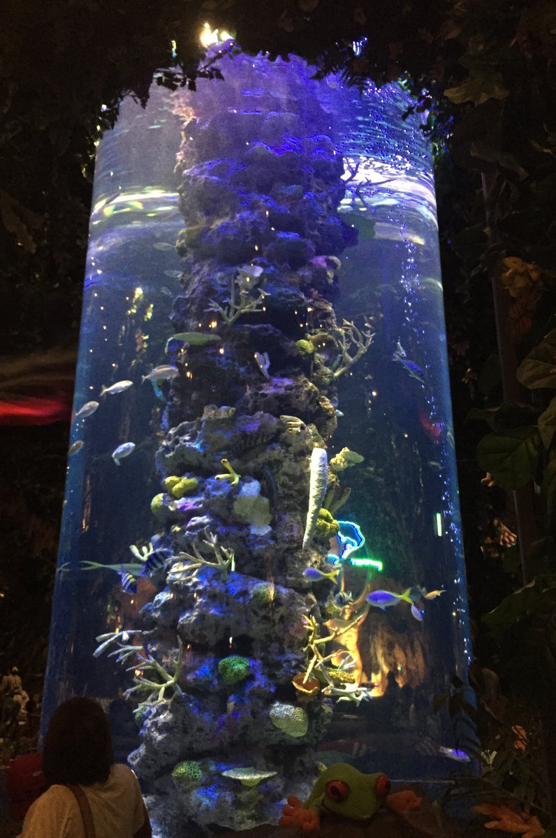 レインフォレストカフェ・トーキョー （Rainforest cafe）