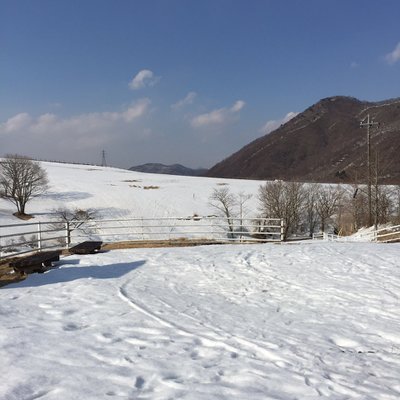 日光霧降高原チロリン村