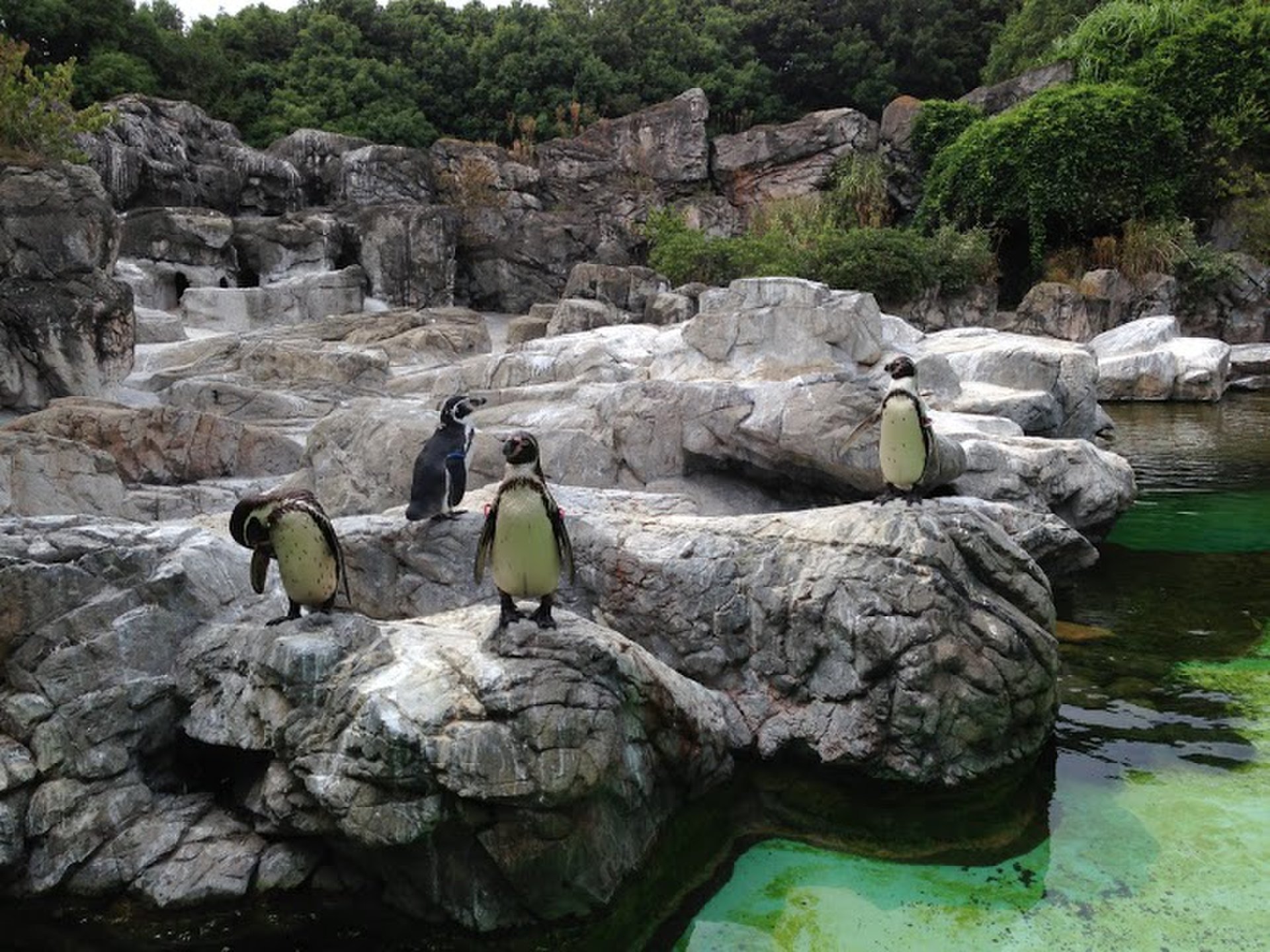 【横浜動物園まとめ】横浜の動物園3選！デートにおすすめ！面白い動物園も！