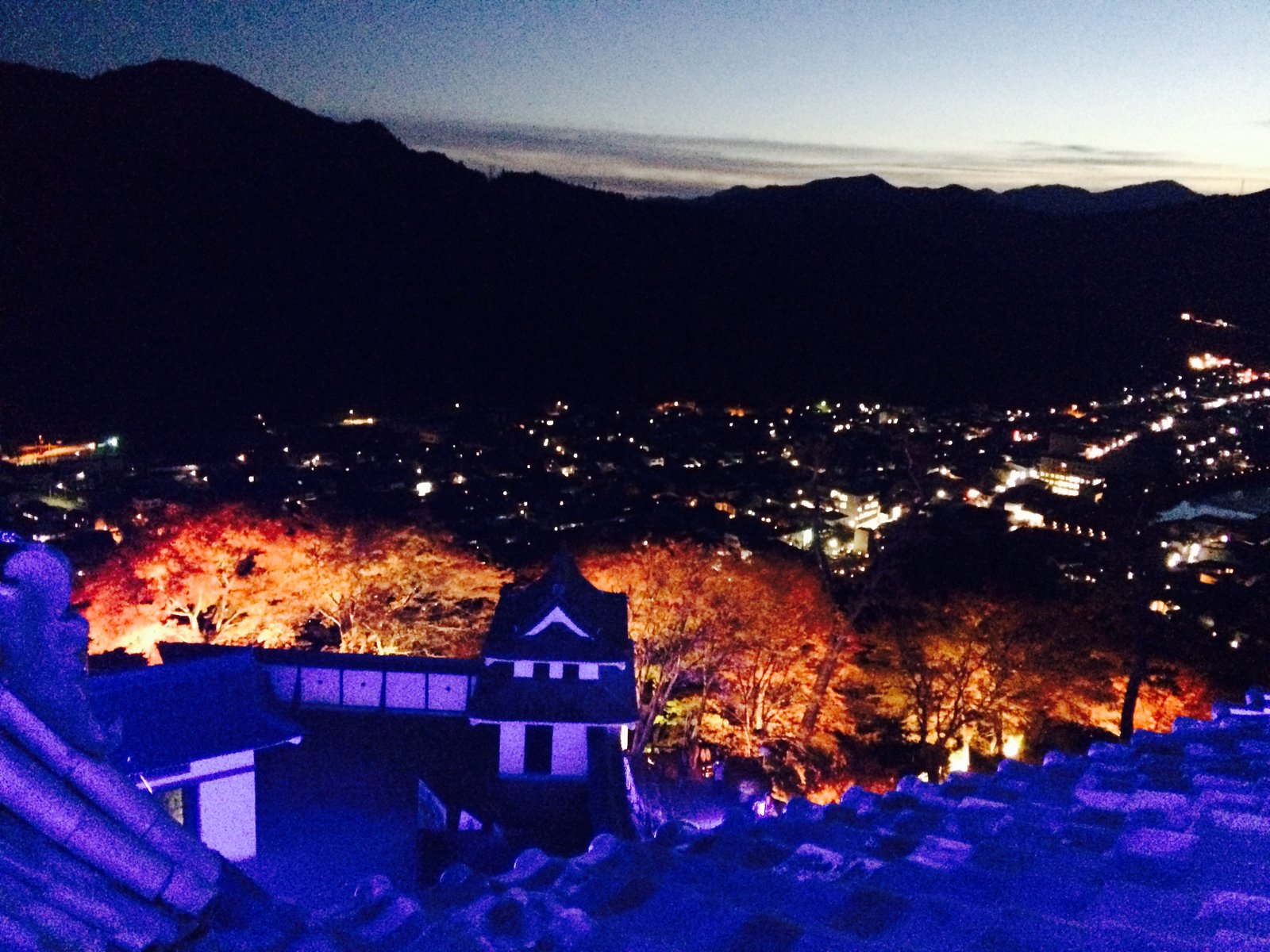 郡上八幡城