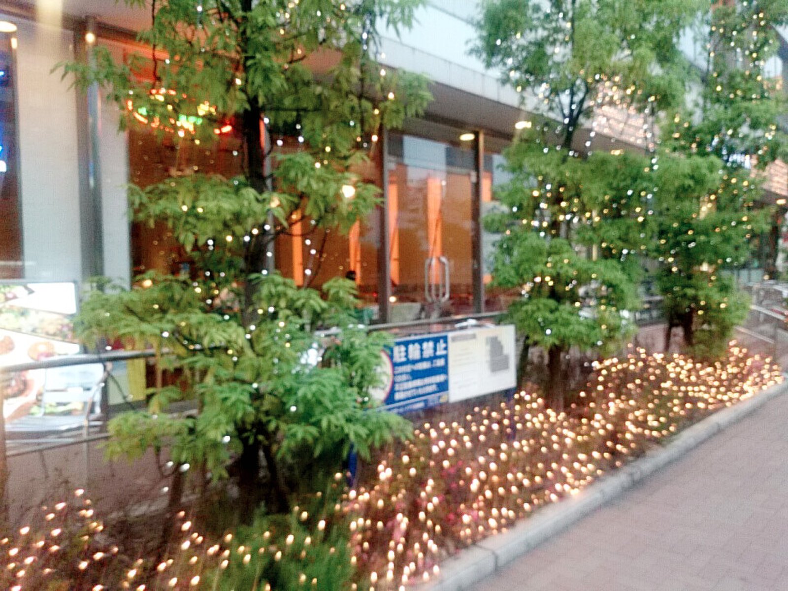 元の横浜 駅 おしゃれ 居酒屋 世界のすべての髪型