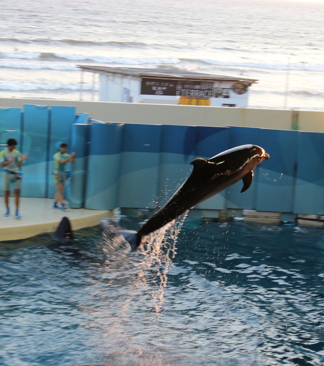 新江ノ島水族館