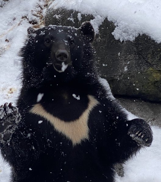 奥飛騨クマ牧場