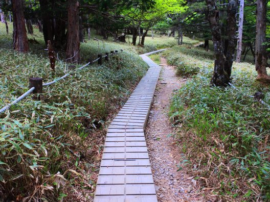 大台ケ原(日出ヶ岳)