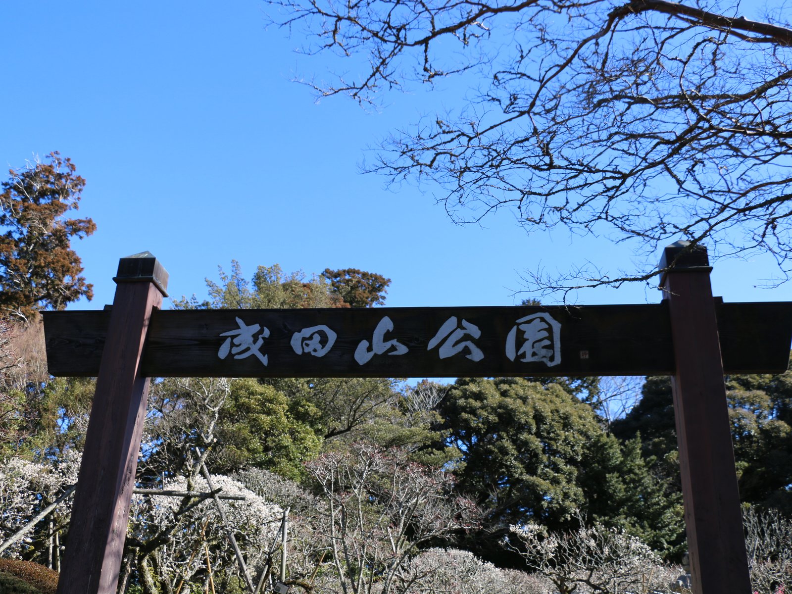 成田山公園