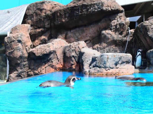 鳥羽水族館