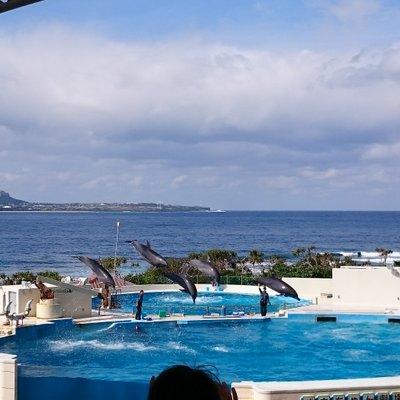 沖縄美ら海水族館