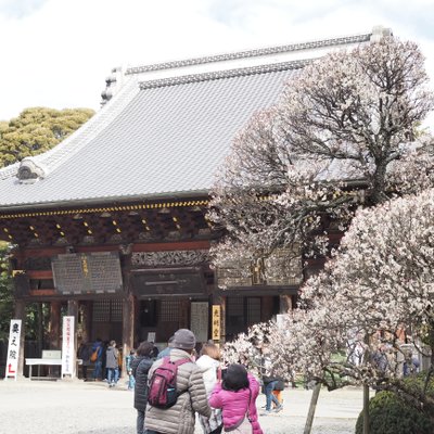 成田山新勝寺　光明堂