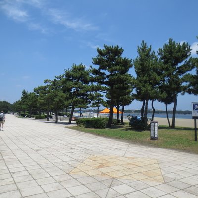 海の公園