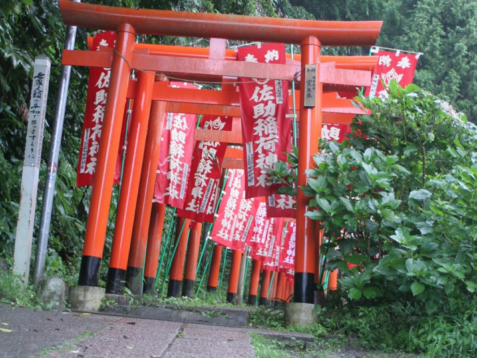 鶴岡八幡宮だけじゃない!鎌倉のオススメスポット〜幻想的な森の中の神社篇〜