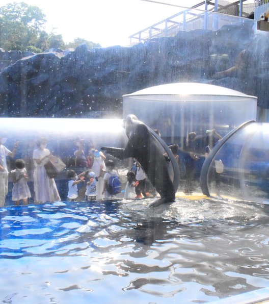 鳥羽水族館