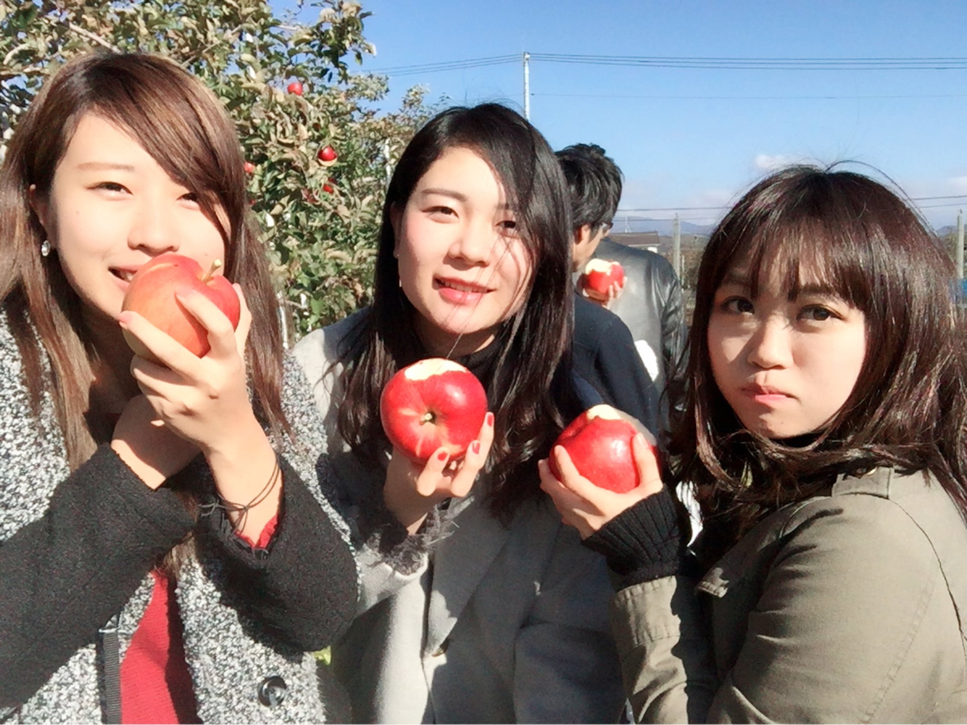 紅葉とグルメと温泉で秋を満喫♪穴場をめぐるゆったり群馬県ツアー！