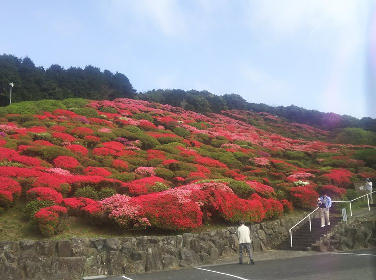 Gwに行きたい 長崎県佐世保市の穴場スポット鹿町町 江迎町よりツツジと絶景と温泉と旨いものを楽しむ旅 Playlife プレイライフ