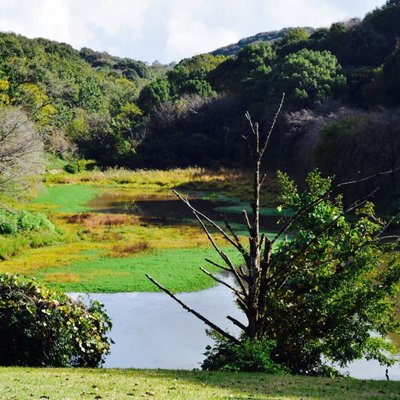 立田山憩の森