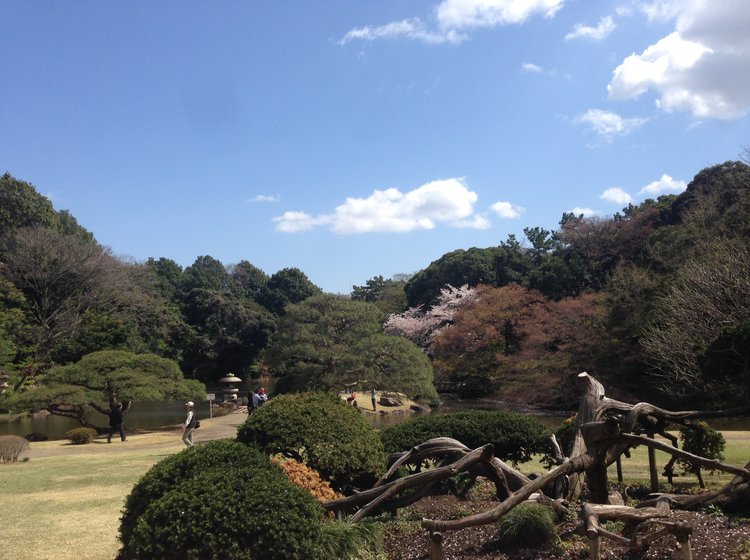 自称庭園マスターが教える おでかけ プチ旅行 デートで行きたい東京都内のおすすめ庭園３選 Playlife プレイライフ