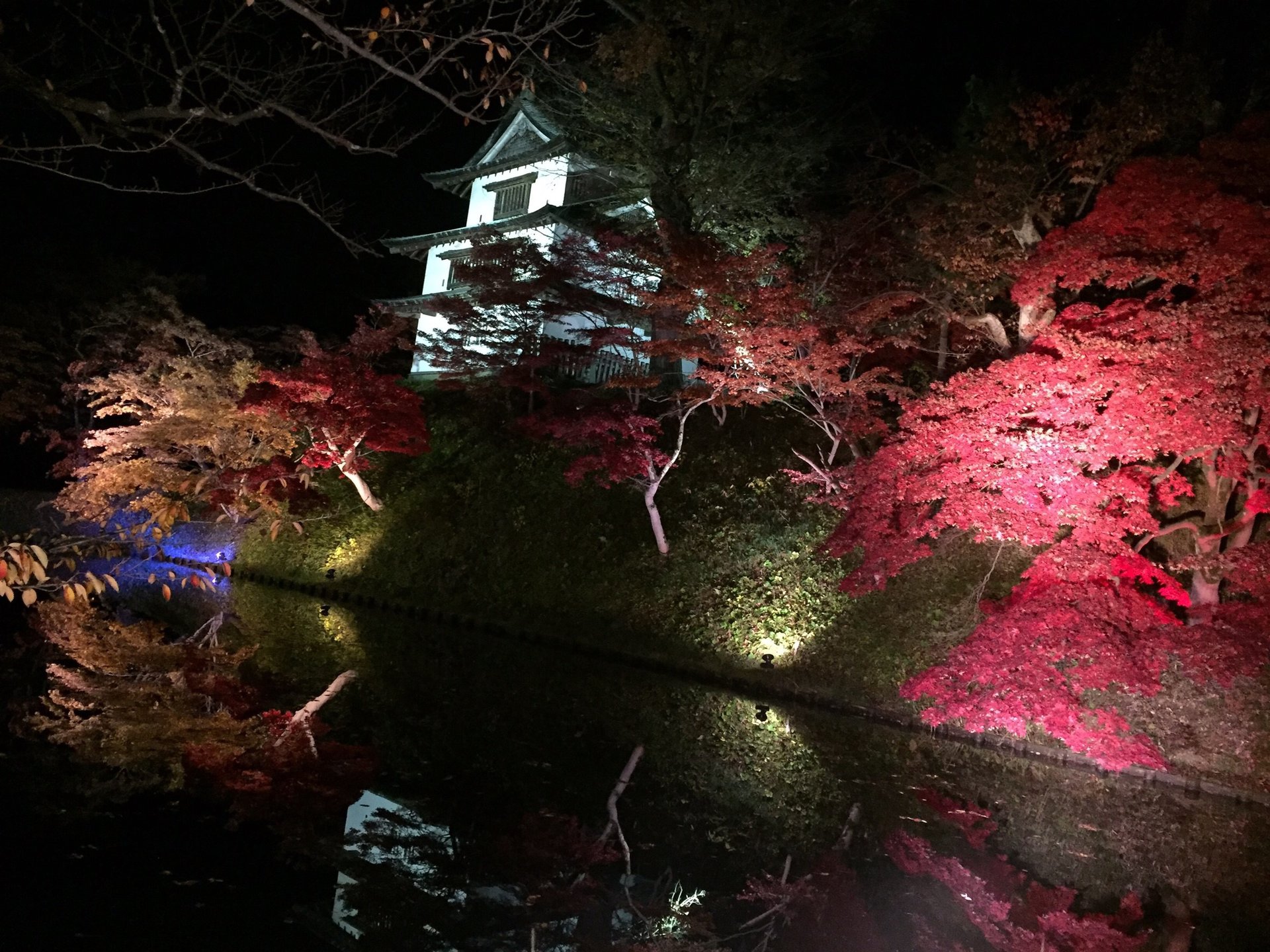 【弘前の美しすぎる観光地】日本一の公園や繊細な田んぼアートに感激！田舎ならではの満足感！