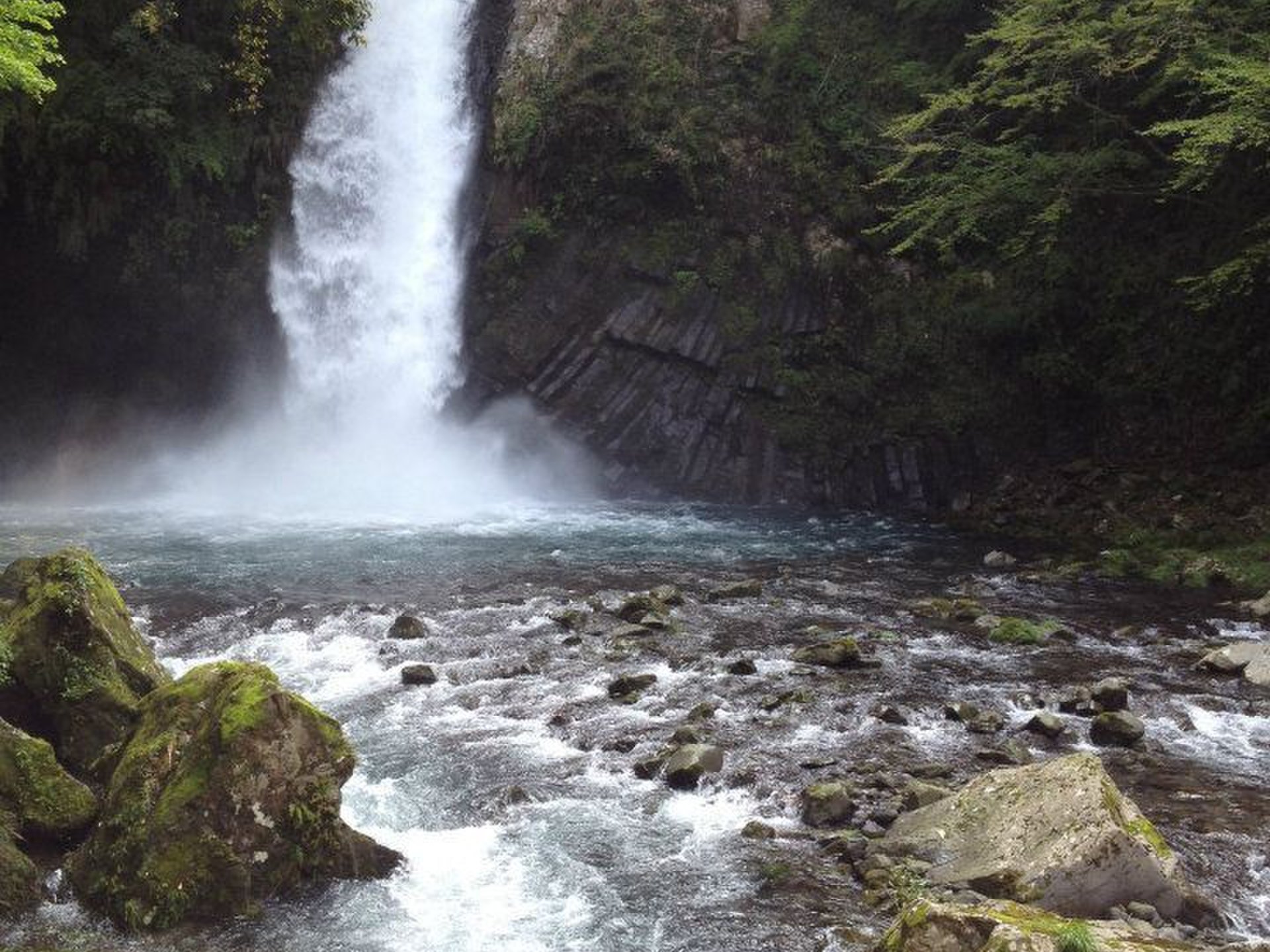 【伊豆ドライブ】海・山・滝・秘湯～大自然のすべてを詰め込んで～