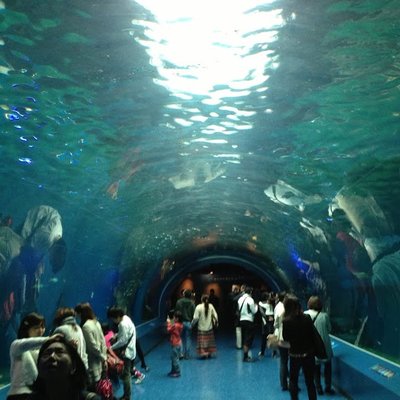 しながわ水族館