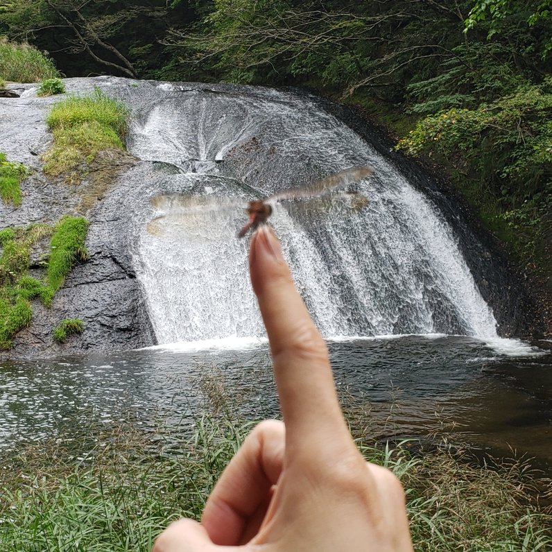 釜淵の滝