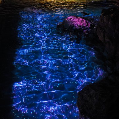 すみだ水族館