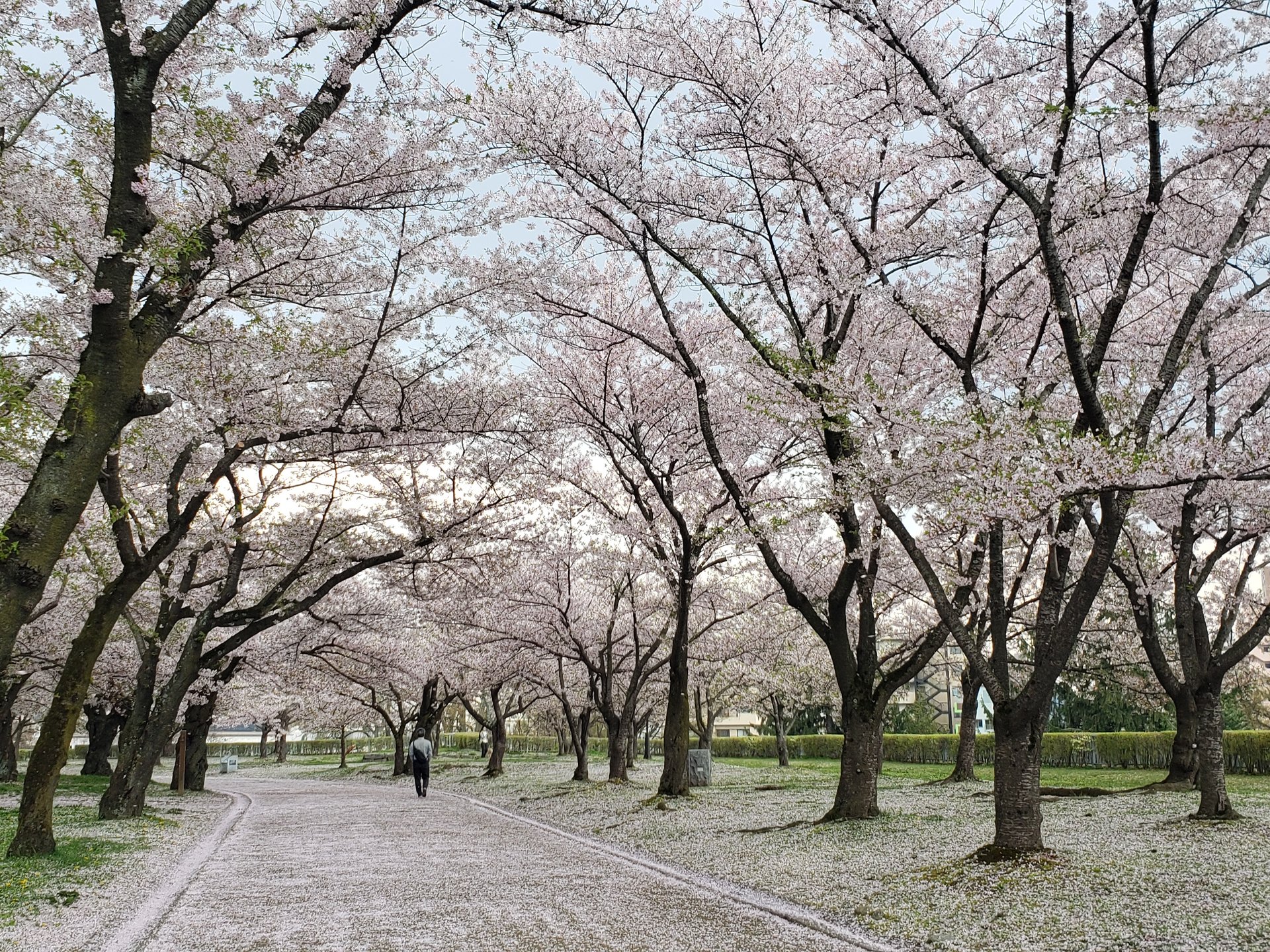 岩手公園