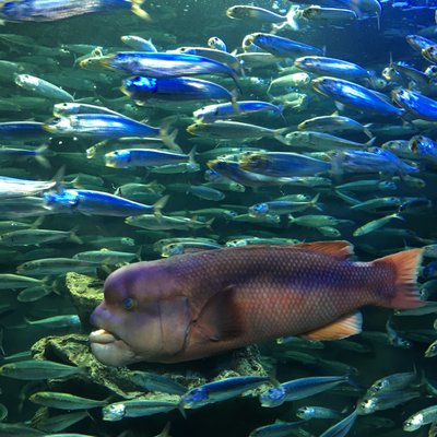 サンシャイン水族館