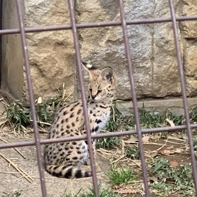 東京都多摩動物公園