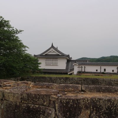 津山城跡(鶴山公園)