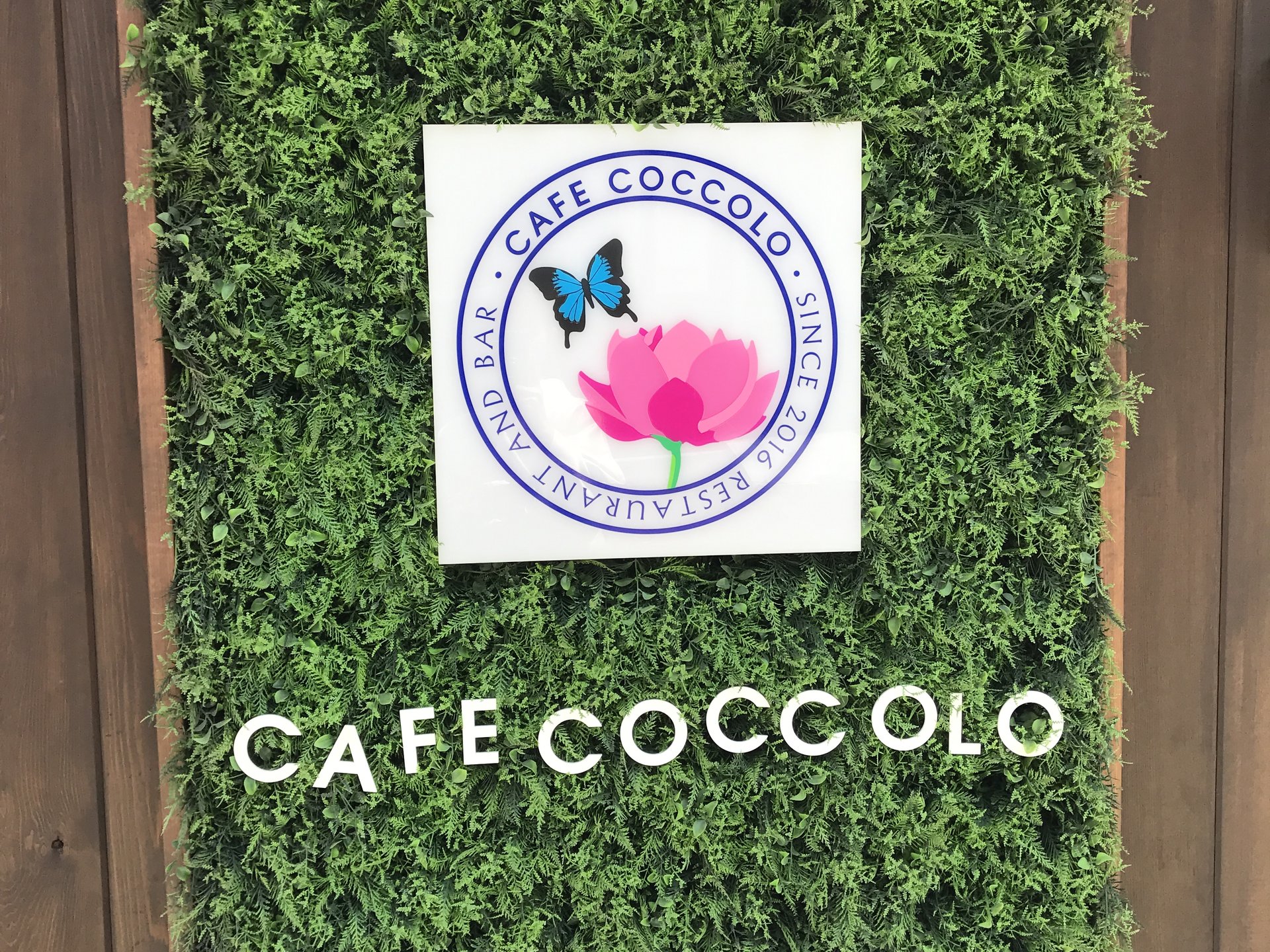 CAFE COCCOLO（カフェ コッコロ）